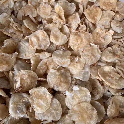 广州 优惠小赤鱼胶，煲汤，做花㬵冻，