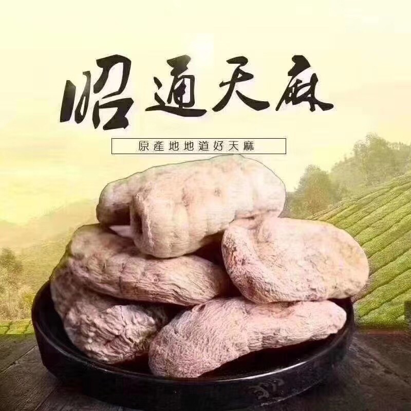 【精品】云南昭通小草坝天麻（支持电商微商一件代发）