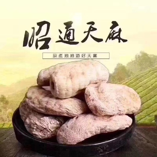 彝良县【精品】云南昭通小草坝天麻（支持电商微商一件代发）