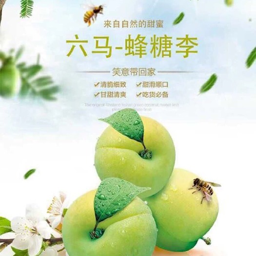 镇宁县 六马蜂糖李