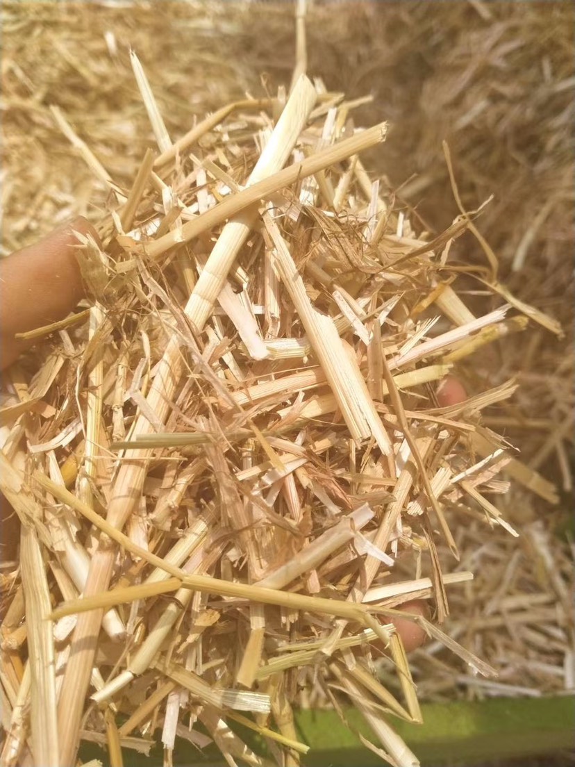 小麦秸秆