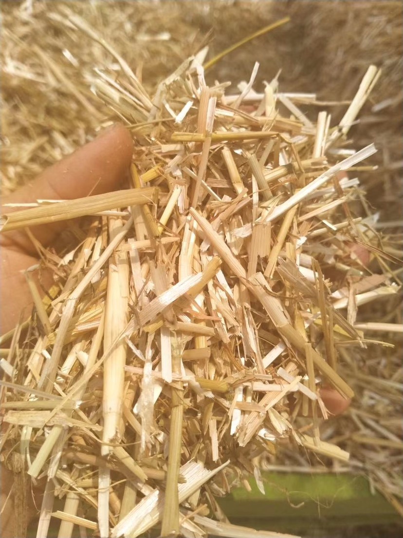 小麦秸秆