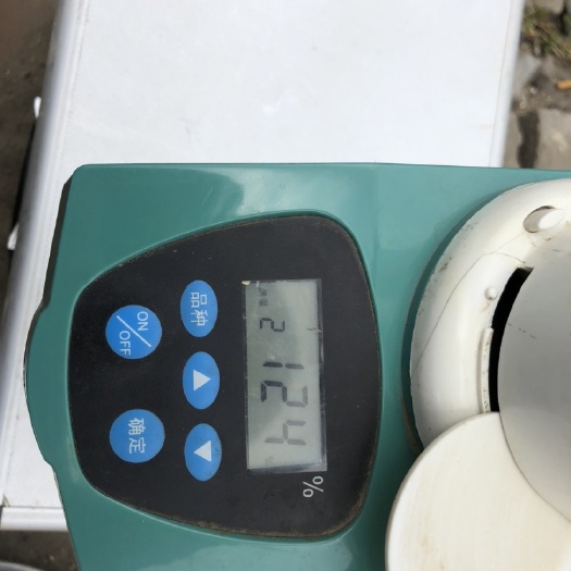 老河口市普通小麦