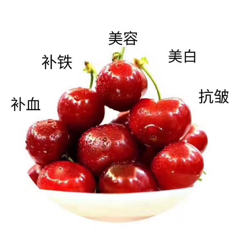  大連，美早大櫻桃，紅燈籠大櫻桃，吃過(guò)都說(shuō)好！【順豐全國(guó)包郵】