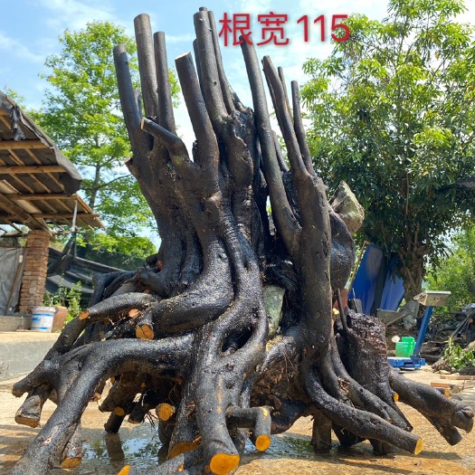 永福县 有大量金弹子桩！！！！！