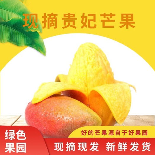 南宁贵妃芒 红金龙应季热带现摘芒果5/8斤新鲜包邮