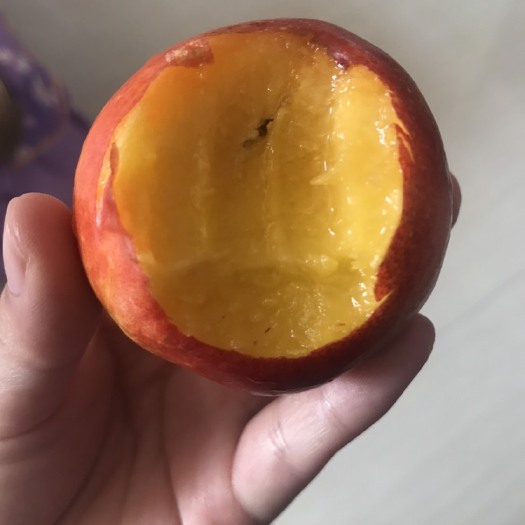 枣阳市 油桃毛桃，低价出售