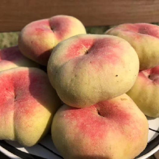 大荔县 陕西毛蟠桃产地直销，量大从优