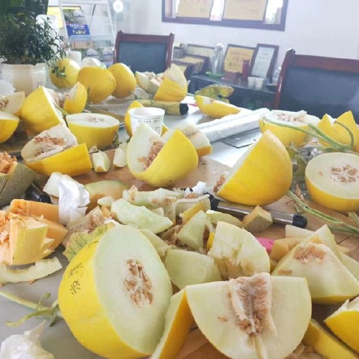 西州蜜25号 西周密、黄金蜜