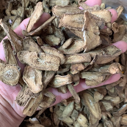  牛蒡茶 黄金牛蒡茶 大量批发散装