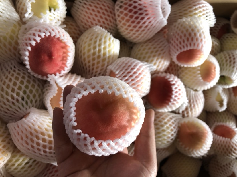 蜜桃  胭脂脆桃