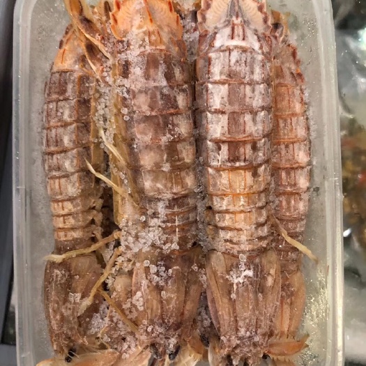 連云港熟凍皮皮蝦，肉質(zhì)鮮美，保持鮮味，母皮皮蝦，帶黃