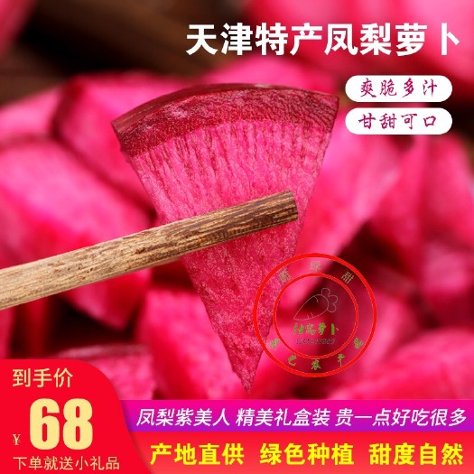 天津 天津紫皮红心凤梨萝卜紫霞胭脂紫美人新鲜甜脆正宗沙窝水果萝卜8