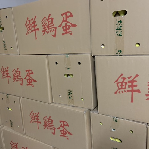 郑州土鸡蛋 食用 箱装