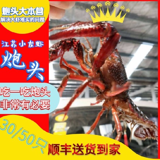兴化市兴化小龙虾礼盒 炮头 精品大红 1两以上 家庭装