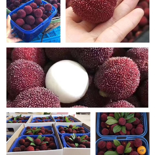 绍兴 仙居东魁杨梅