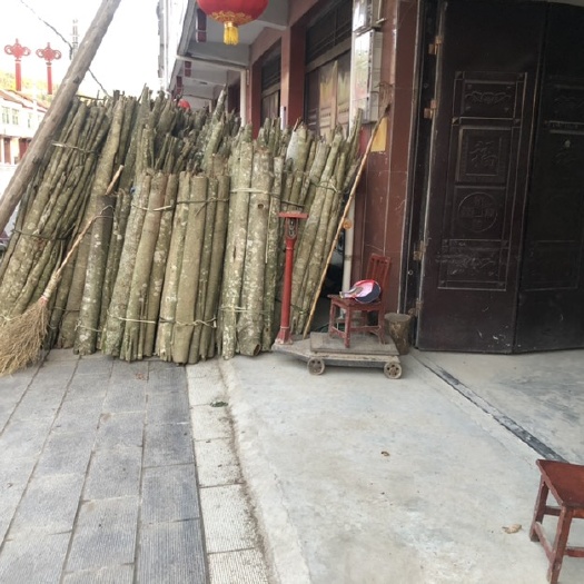 城固县厚朴皮中药厚朴丝皮，厚朴桶皮。