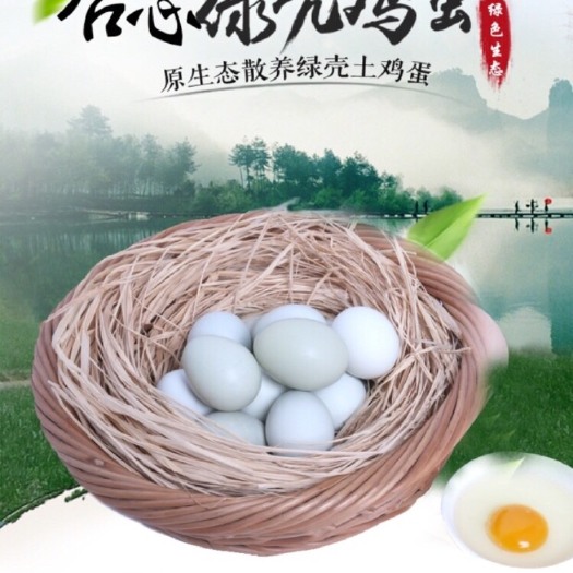 武汉土鸡蛋 农村散养鸡