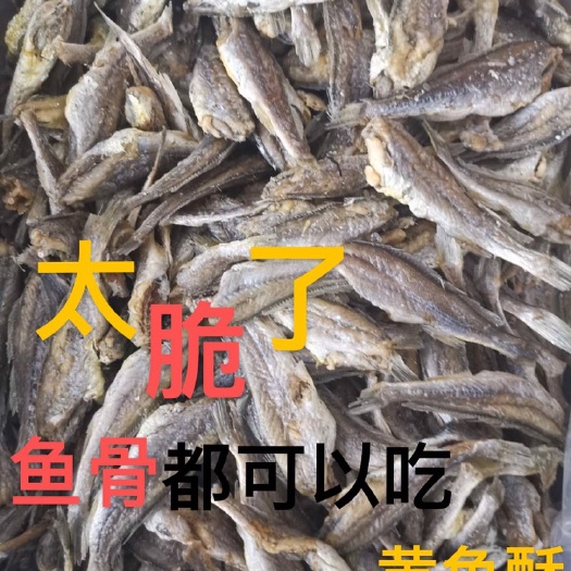 温岭市 小黄鱼干香酥小黄鱼酥脆鱼干即食好吃的零食网红零食批发