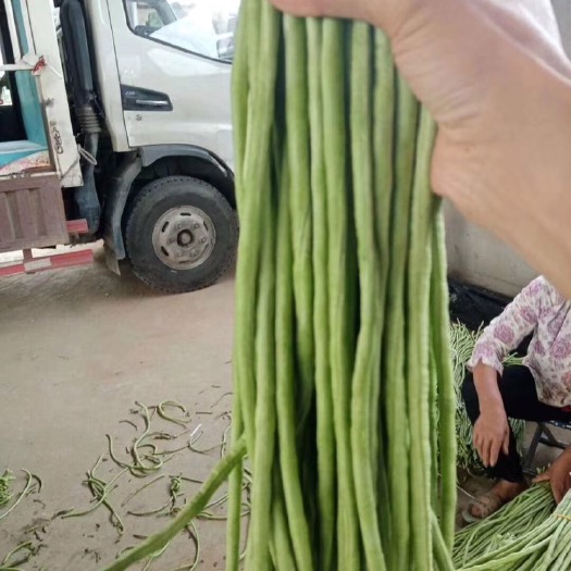 枝江市25年长豆角 缸豆