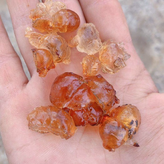 武汉 好质量桃胶