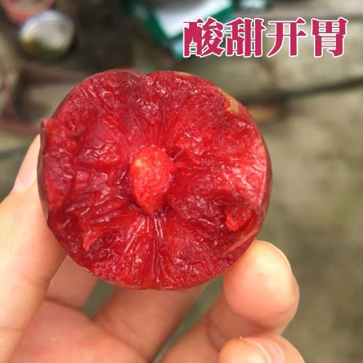 漳州红李子三华李一件代发包邮顺丰包邮
