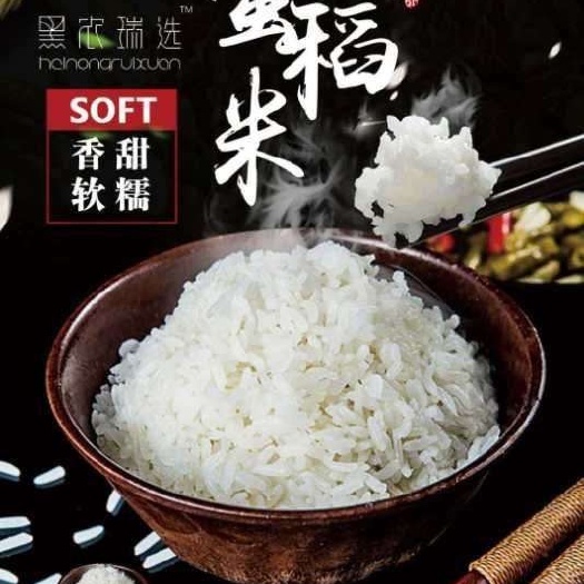 长春东北大米 一等品 一季稻 粳米