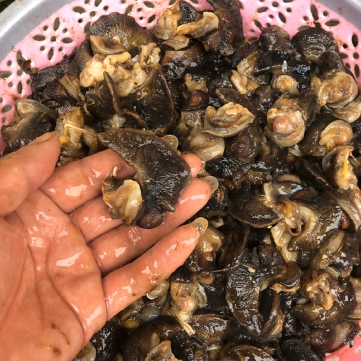  现订现做，只做新鲜蜗牛肉