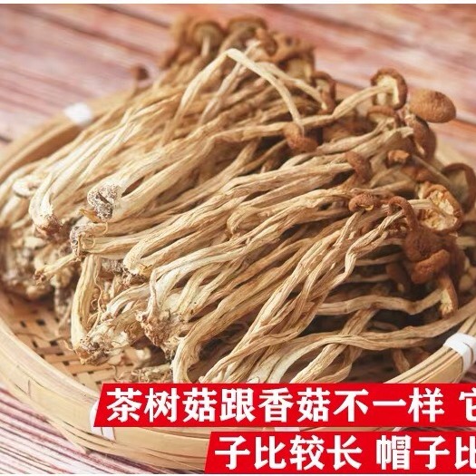 博白县 农家茶树菇特级不开伞2020新鲜茶薪菇干货