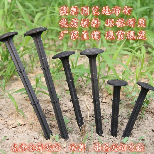 德州 防草布地钉园艺地钉黑色塑料地钉地布钉农用塑料地钉