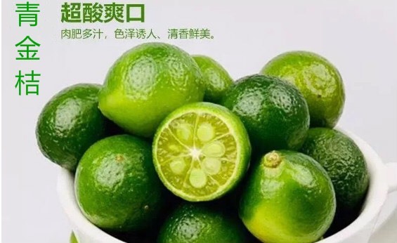 海口 【超酸爽口优惠包邮】青金桔海南青金桔新鲜小金桔一件代发