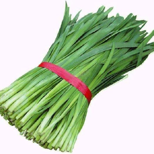 平原县小叶韭菜 头茬