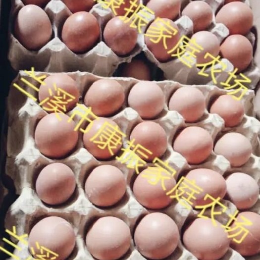 兰溪市红皮鸡蛋 兰溪市康振家庭农场直销优质蛋