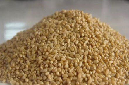 周口 现有精品小麦100000斤，粒大饱满