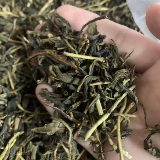 广州高山野生茶 天然手炒山茶