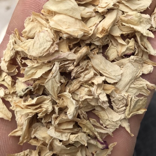 亳州 中药材 白残花 蔷薇花