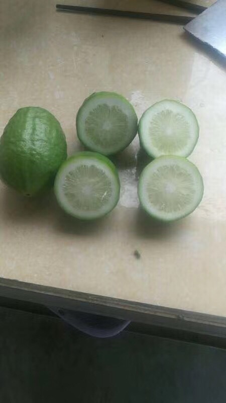 广东香水柠檬水果供应商大批量代办广西青色绿色奶茶店四季