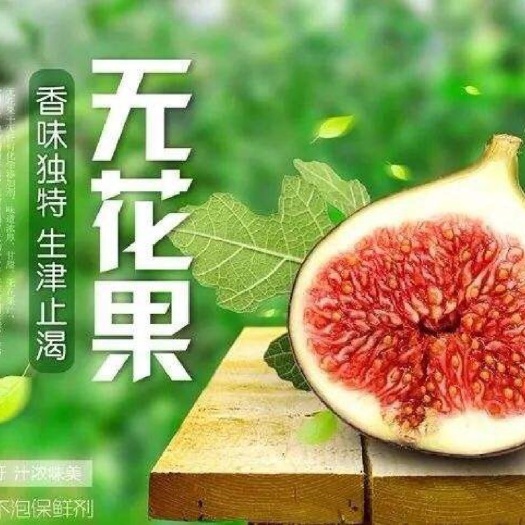 清远 无花果干自家果园500g原味罐装即食烘焙风干孕妇