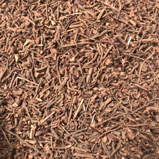 亳州 茜草