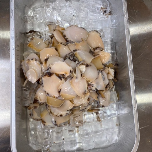 连江鲍鱼 人工养殖 冷冻水产