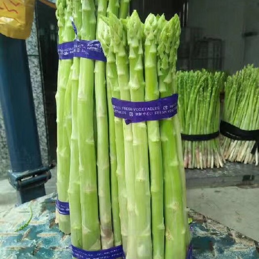 云霄县 福建精品绿芦笋