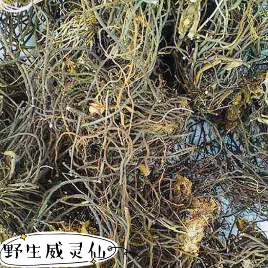 长春 威灵仙 正品中草药