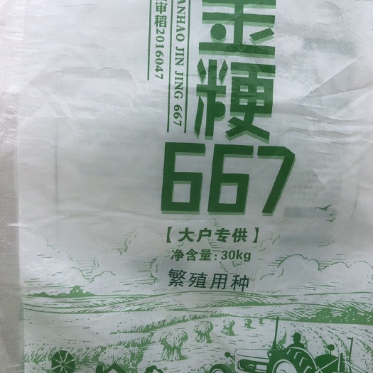 东海县 水稻种子金粳667大户的水稻种子，好吃好看好卖粮