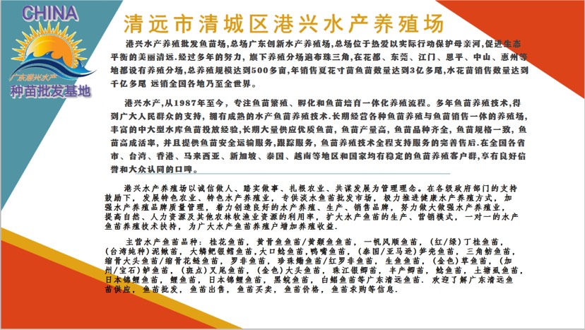  花星鱼苗七星鱼苗 中公鱼苗源头货源批发供应 高产优质无病害