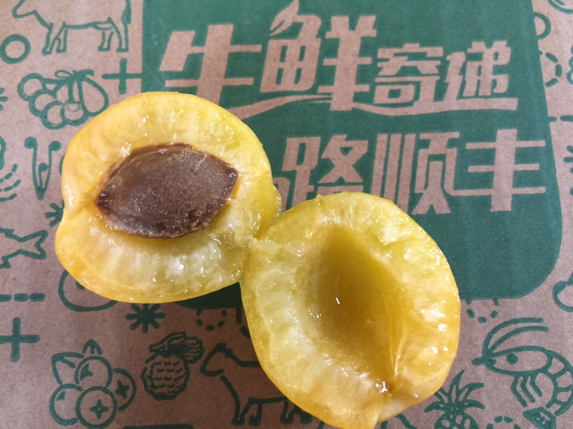 新疆輪臺(tái)小白杏