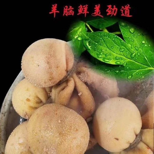 中牟县羊肚 包脑，一箱20斤，一斤3个