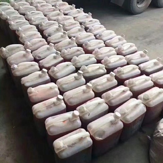 郑州驴血清 驴肉批发