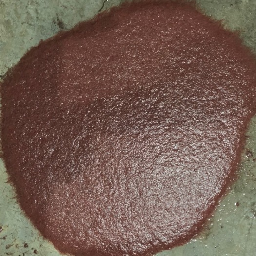  水蚯蚓红线虫丰年虾鱼食赤虫红血虫