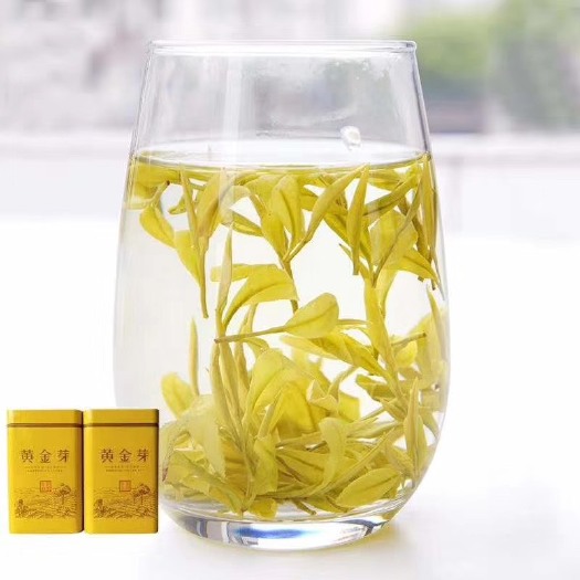 郎溪县安吉黄金叶茶 安吉黄金芽黄金茶 茶中贵族 营养丰富 甘甜可口