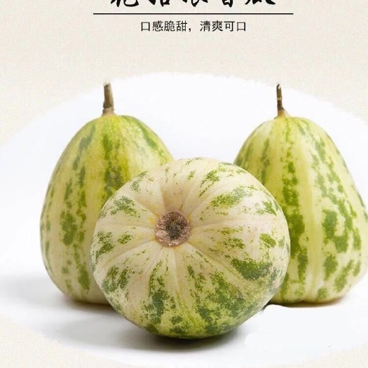 鱼台县花姑娘甜瓜 0.3斤以上